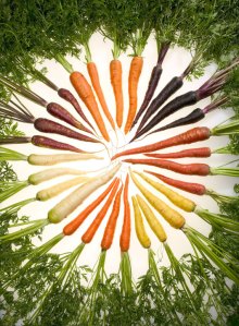 Gradasi warna asal wortel